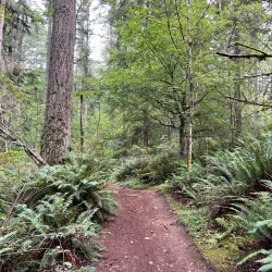 Paradise Valley Conservation Area - Duvall