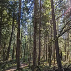 Paradise Valley Conservation Area - Duvall