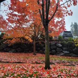 Snoqualmie River - Duvall