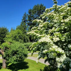 Snoqualmie River - Duvall