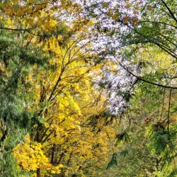 Snoqualmie Valley Trail - Duvall