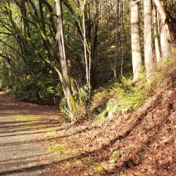 Snoqualmie Valley Trail - Duvall