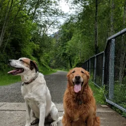 Snoqualmie Valley Trail - Duvall