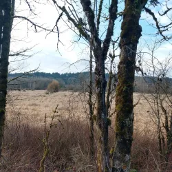 Snoqualmie Valley Trail - Duvall