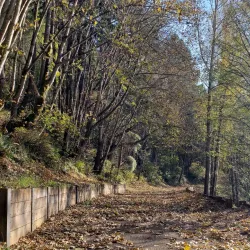 Snoqualmie Valley Trail - Duvall