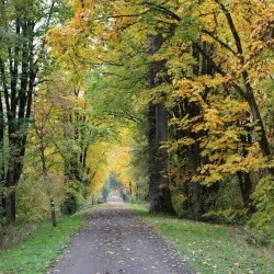 Snoqualmie Valley Trail - Duvall