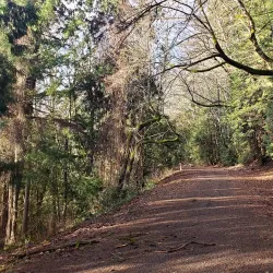 Snoqualmie Valley Trail - Duvall