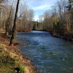 Tolt-MacDonald Park - Duvall