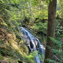 Moran State Park - Eastsound