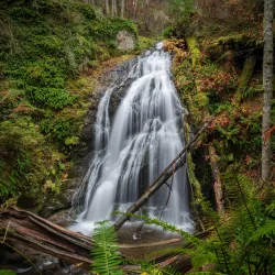 Moran State Park - Eastsound
