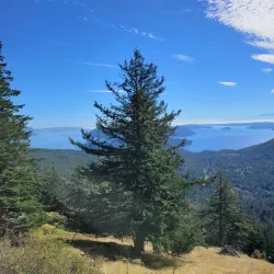 Mt. Constitution Fire Tower - Eastsound