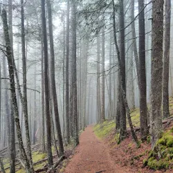 Mt. Constitution Fire Tower - Eastsound