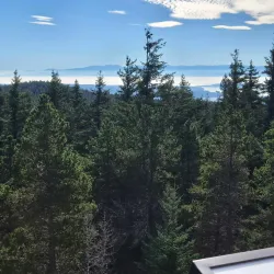 Mt. Constitution Fire Tower - Eastsound