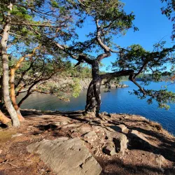 Obstruction Pass State Park - Eastsound
