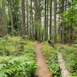 Obstruction Pass State Park - Eastsound