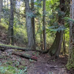 Obstruction Pass State Park - Eastsound