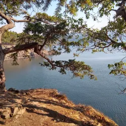 Obstruction Pass State Park - Eastsound