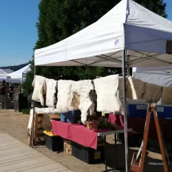 Orcas Island Farmers Market - Eastsound