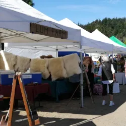 Orcas Island Farmers Market - Eastsound