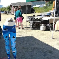 Orcas Island Farmers Market - Eastsound