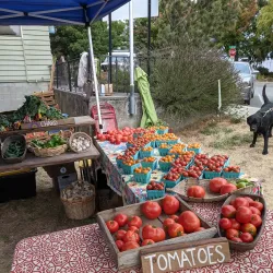 Orcas Island Farmers Market - Eastsound