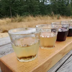 Orcas Island Winery - Eastsound