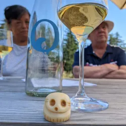 Orcas Island Winery - Eastsound