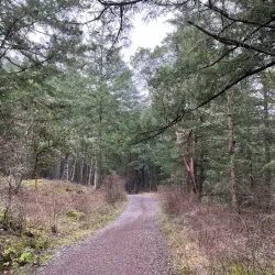 Turtleback Mountain Preserve - Eastsound
