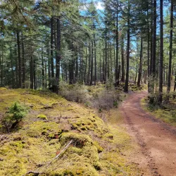 Turtleback Mountain Preserve - Eastsound