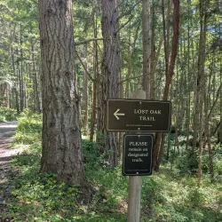 Turtleback Mountain Preserve - Eastsound