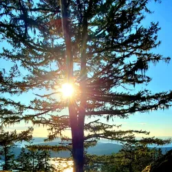 Turtleback Mountain Preserve - Eastsound