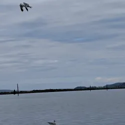 Everett Waterfront - Everett