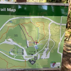 Forest Park - Everett