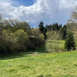 Forest Park - Everett