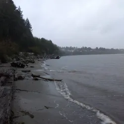 Howarth Park - Everett