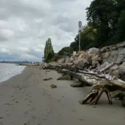 Howarth Park - Everett