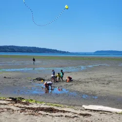 Jetty Island - Everett