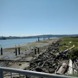 Jetty Island - Everett
