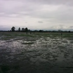 Jetty Island - Everett