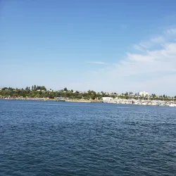 Jetty Island - Everett