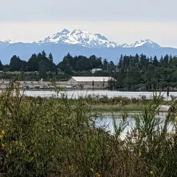 Jetty Island - Everett