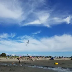 Jetty Island - Everett