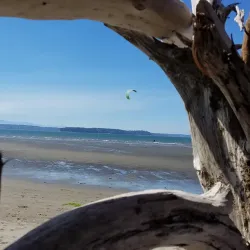 Jetty Island - Everett