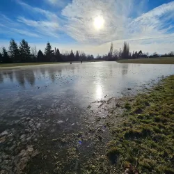 Ferndale Community Park - Ferndale