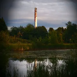 Ferndale Community Park - Ferndale