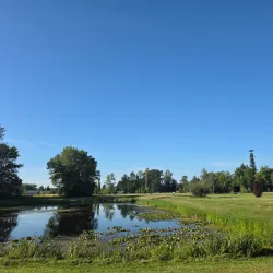 Ferndale Community Park - Ferndale