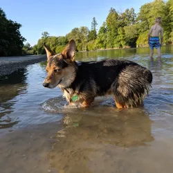 Ferndale Community Park - Ferndale