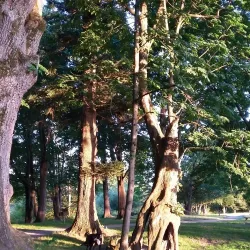 Ferndale Community Park - Ferndale