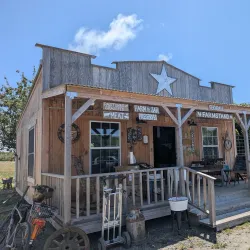 Ferndale Farmers Market - Ferndale