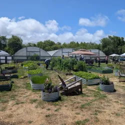 Ferndale Farmers Market - Ferndale